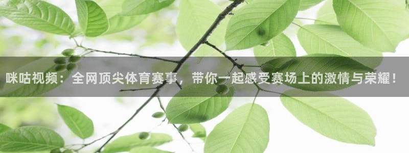 咪咕视频：全网顶尖体育赛事，带你一起感受赛场上的激情与荣耀！
