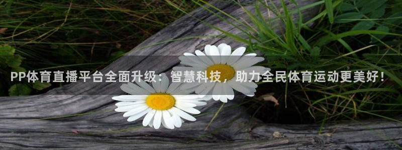 PP体育直播平台全面升级：智慧科技，助力全民体育运动更美好！