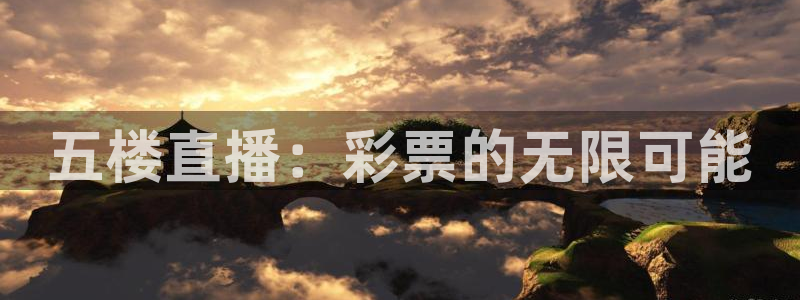 五楼直播：彩票的无限可能