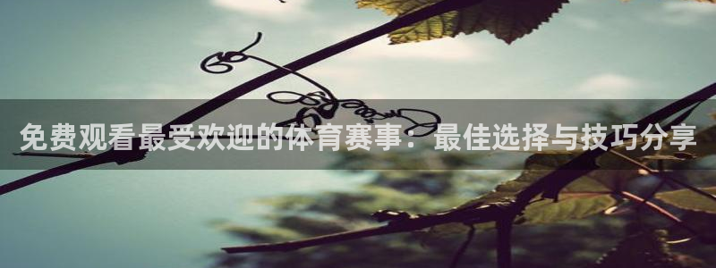 免费观看最受欢迎的体育赛事：最佳选择与技巧分享