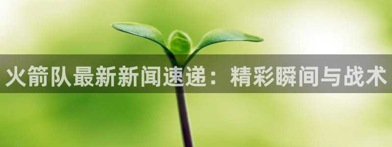 火箭队最新新闻速递：精彩瞬间与战术