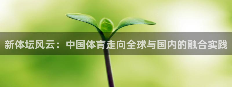 新体坛风云：中国体育走向全球与国内的融合实践
