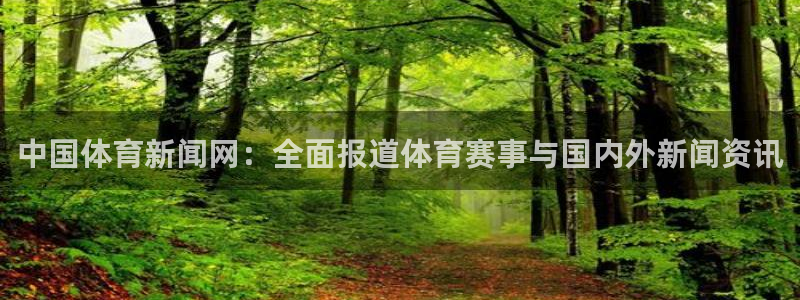 中国体育新闻网：全面报道体育赛事与国内外新闻资讯