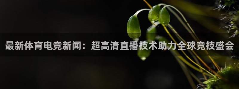 最新体育电竞新闻：超高清直播技术助力全球竞技盛会