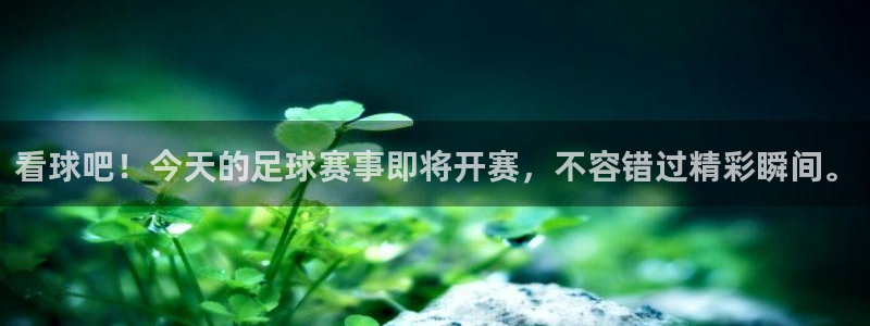 看球吧！今天的足球赛事即将开赛，不容错过精彩瞬间。