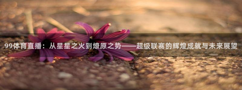 99体育直播：从星星之火到燎原之势——超级联赛的辉煌成就与未来展望