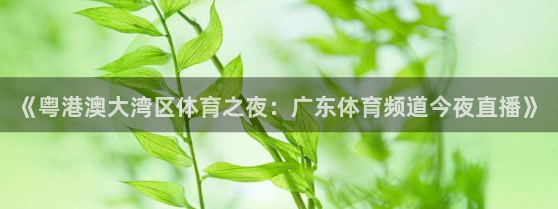 《粤港澳大湾区体育之夜：广东体育频道今夜直播》