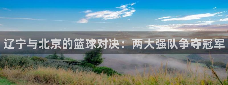 辽宁与北京的篮球对决：两大强队争夺冠军