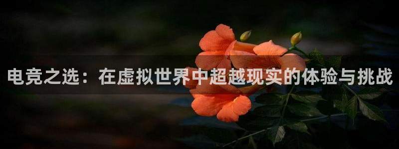 电竞之选：在虚拟世界中超越现实的体验与挑战