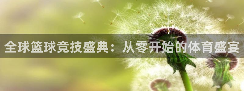 全球篮球竞技盛典：从零开始的体育盛宴