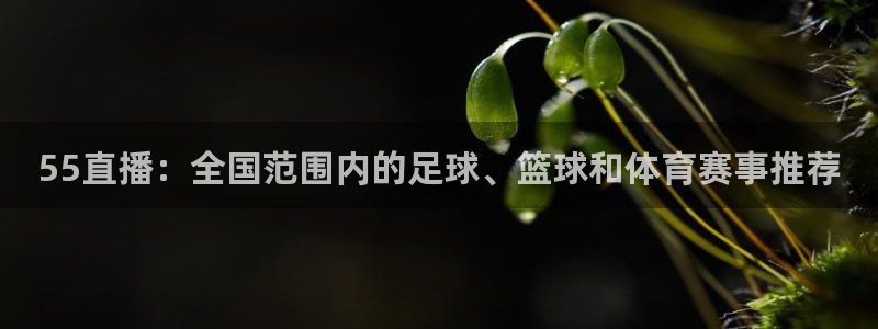 55直播：全国范围内的足球、篮球和体育赛事推荐