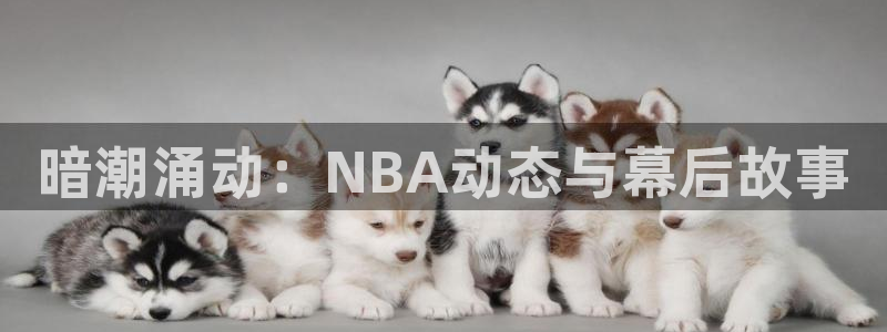 暗潮涌动：NBA动态与幕后故事