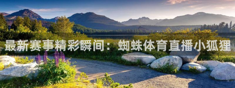 最新赛事精彩瞬间：蜘蛛体育直播小狐狸