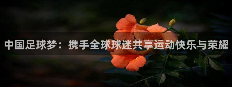 中国足球梦：携手全球球迷共享运动快乐与荣耀