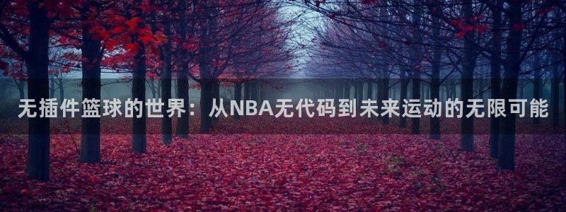 无插件篮球的世界：从NBA无代码到未来运动的无限可能