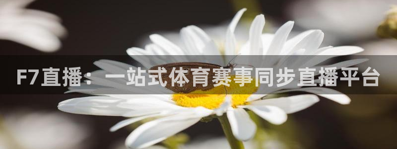 F7直播：一站式体育赛事同步直播平台