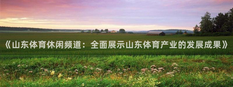 《山东体育休闲频道：全面展示山东体育产业的发展成果》