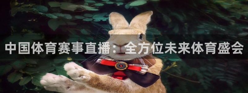 中国体育赛事直播：全方位未来体育盛会