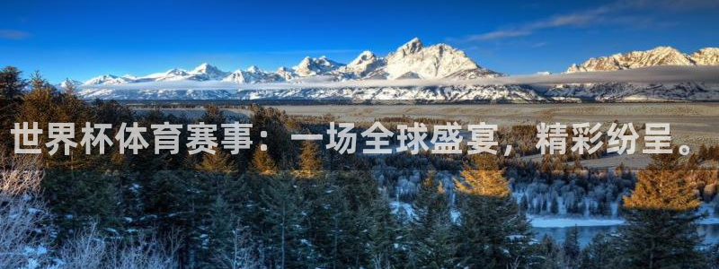 世界杯体育赛事：一场全球盛宴，精彩纷呈。