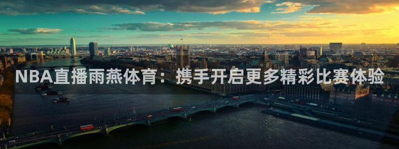 NBA直播雨燕体育：携手开启更多精彩比赛体验