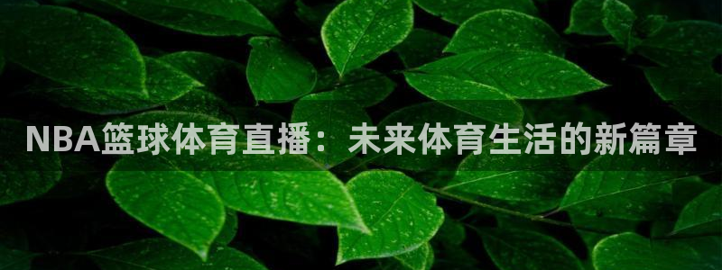 NBA篮球体育直播：未来体育生活的新篇章