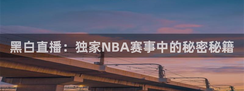 黑白直播：独家NBA赛事中的秘密秘籍