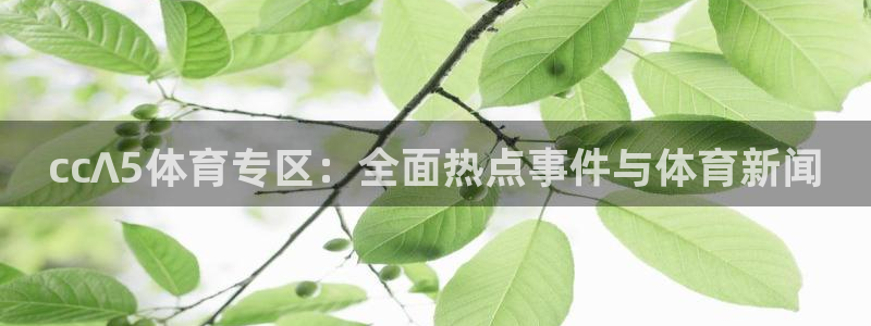 cc∧5体育专区：全面热点事件与体育新闻