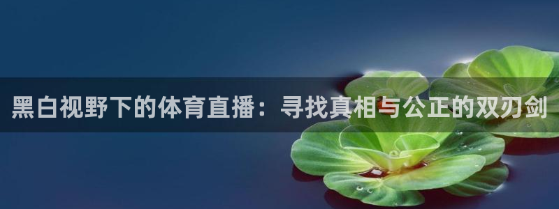 黑白视野下的体育直播：寻找真相与公正的双刃剑