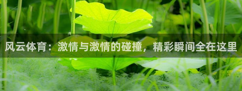 风云体育：激情与激情的碰撞，精彩瞬间全在这里