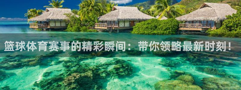 篮球体育赛事的精彩瞬间：带你领略最新时刻！