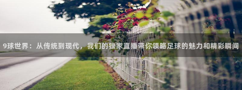 9球世界：从传统到现代，我们的独家直播带你领略足球的魅力和精彩瞬间