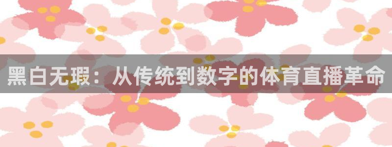 黑白无瑕：从传统到数字的体育直播革命