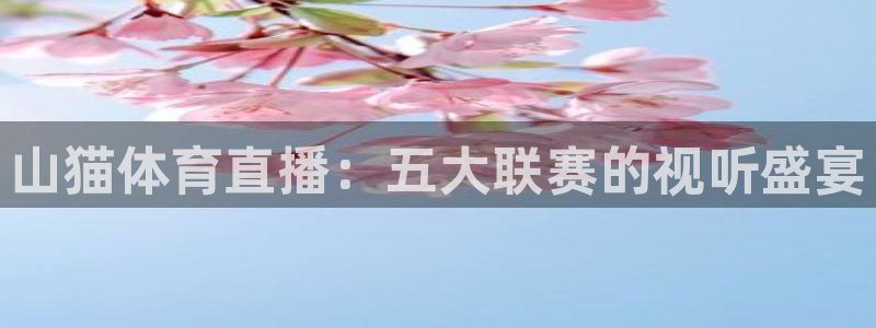 山猫体育直播：五大联赛的视听盛宴