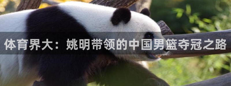 体育界大：姚明带领的中国男篮夺冠之路