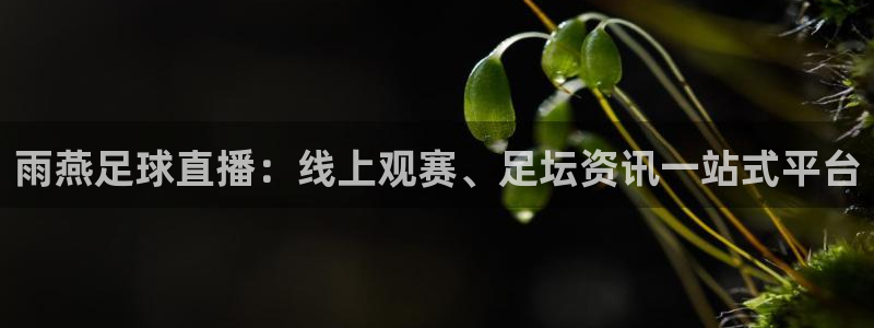 雨燕足球直播：线上观赛、足坛资讯一站式平台