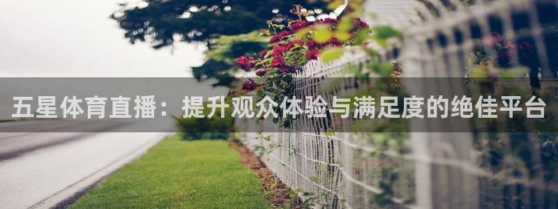 五星体育直播：提升观众体验与满足度的绝佳平台