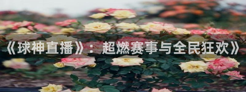 《球神直播》：超燃赛事与全民狂欢》