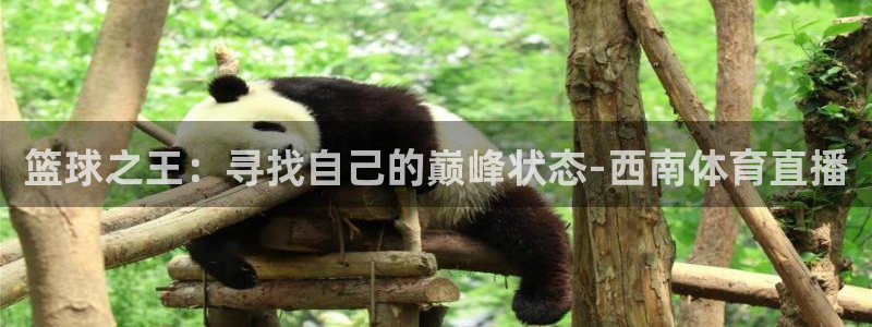 篮球之王：寻找自己的巅峰状态-西南体育直播