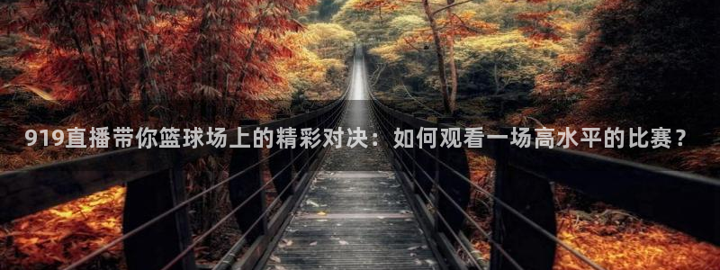 919直播带你篮球场上的精彩对决：如何观看一场高水平的比赛？