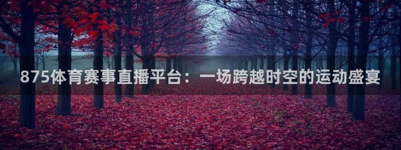 875体育赛事直播平台：一场跨越时空的运动盛宴