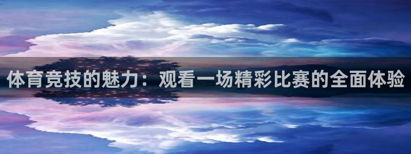 体育竞技的魅力：观看一场精彩比赛的全面体验