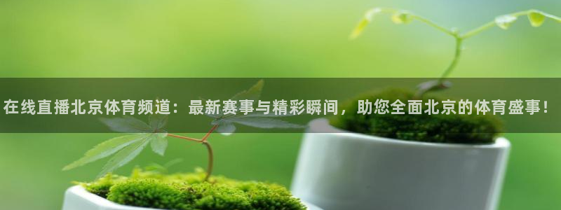 在线直播北京体育频道：最新赛事与精彩瞬间，助您全面北京的体育盛事！