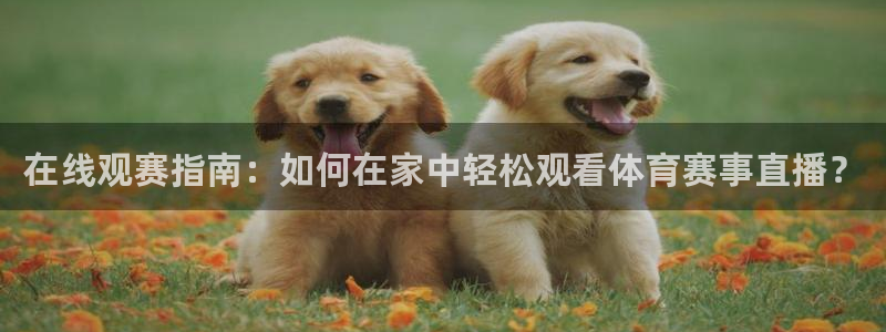 在线观赛指南：如何在家中轻松观看体育赛事直播？