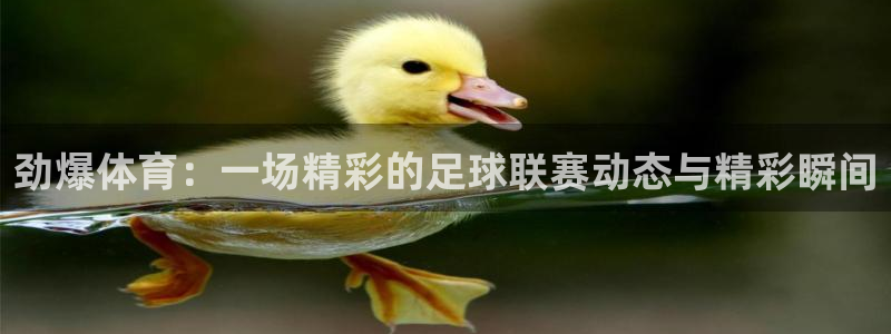 劲爆体育：一场精彩的足球联赛动态与精彩瞬间