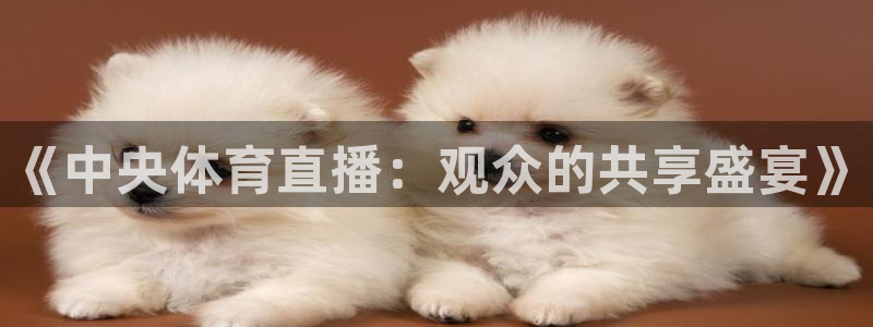《中央体育直播：观众的共享盛宴》