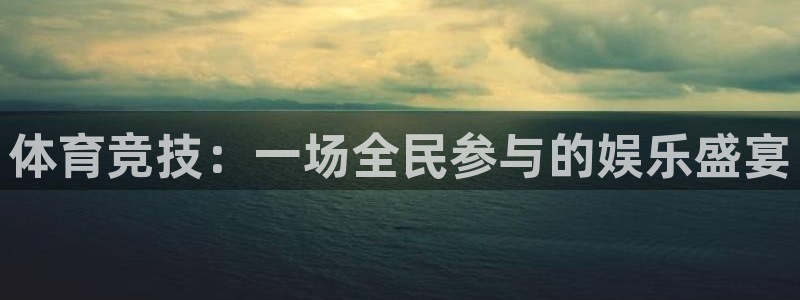 体育竞技：一场全民参与的娱乐盛宴