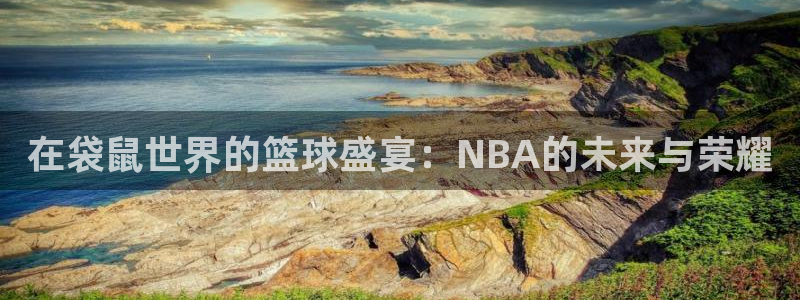 在袋鼠世界的篮球盛宴：NBA的未来与荣耀