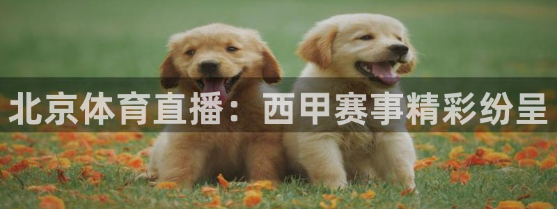 北京体育直播：西甲赛事精彩纷呈