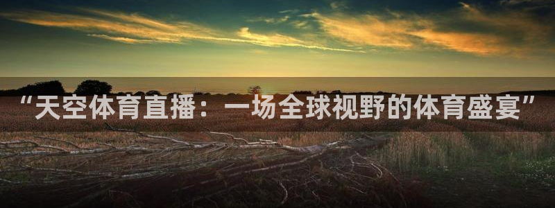“天空体育直播：一场全球视野的体育盛宴”