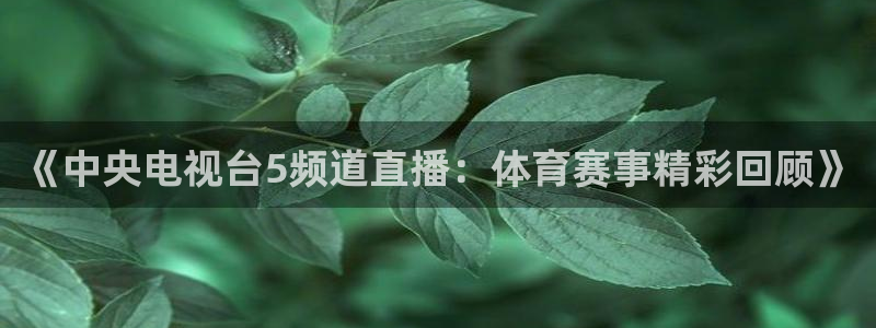 《中央电视台5频道直播：体育赛事精彩回顾》